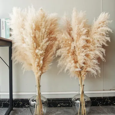 Obrázok produktu pre sada 10 ks pampovej trávy XXL (100 cm) na boho dekoráciu - kytica sušených kvetov, obria pampová tráva