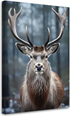 Produktbild von Leinwandbild  Hirsche im Wald 70x100 Feeby Grau bild für die wand bereit zum aufhängen