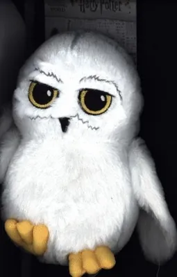 A plush toy owl, likely Hedwig from Harry Potter, is shown against a dark background with some text visible behind it.