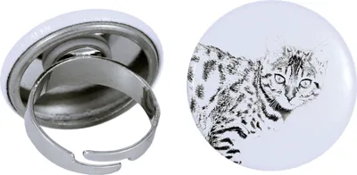 Imagen del producto de Bengalí anillo con gato pequeño Art-Dog