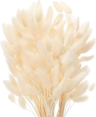 Image de Herbe de pampa séchée, 50 tiges, 40 cm, décoration naturelle pour la maison