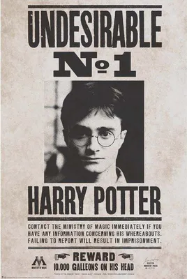 Produktbild von Poster Harry Potter - Undesirable No 1