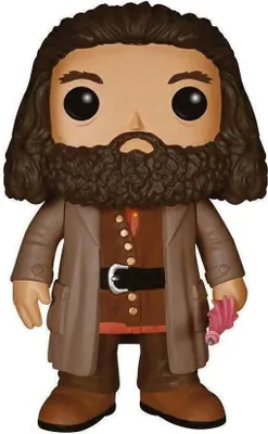 Image de Funko POP films : Harry Potter - Rubeus Hagrid 6
