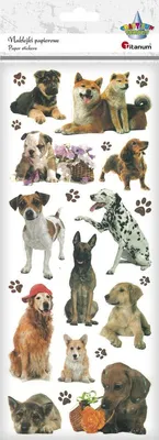 Produktbild von Papieraufkleber Dogs v2 22 Stück Titanum