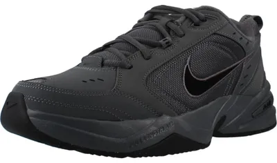 Obrázek produktu pro Nike Nike Air Monarch Šedá