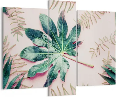 Produktbild von Bild auf Leinwand - Leinwandbild - 3 Teile - Blatt Tropisch Palme - 95x80cm - Wand Bild - Wanddeko - Wandbilder - Leinwanddruck - Bilder - Wanddekoration - Leinwand bilder - Wandbild - CB95x80-4314