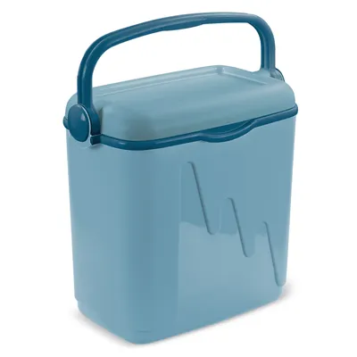 Immagine prodotto di Curver Tourist fridge CURVER 262277 20L Blue