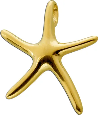 Produktbild von Seestern Anhänger Gelbgold 333 8 Karat