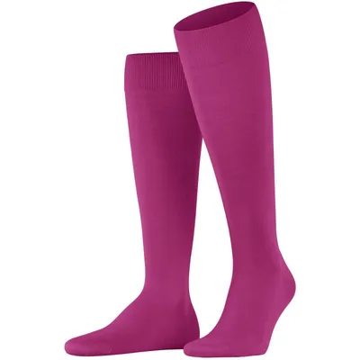Produktbild von FALKE Kniestrümpfe Herren berry 41-42