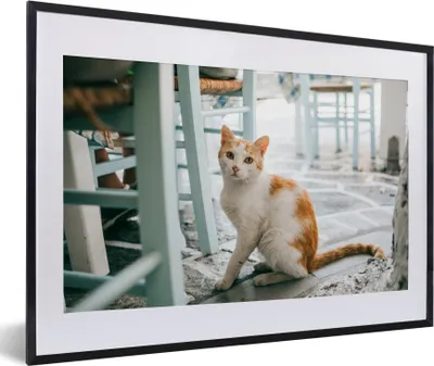 Produktbild von MuchoWow® MuchoWow® Gerahmtes Poster Katze - Stuhl - Boden 60x40 cm - Poster mit zchwarzem Bilderrahmen - Schlafzimmer - Plakat in Rahmen - Drucken
