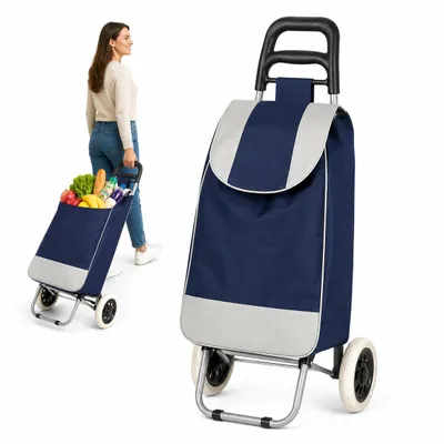 Produktbild von Einkaufstrolley 25 L Einkaufstasche auf 2 Rollen faltbar Metallgestell Blau, KI-generiertes Bild