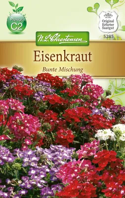 Artikelbild 1 von 'Eisenkraut Bunte Mischung' aus der Kategorie Blumensamen