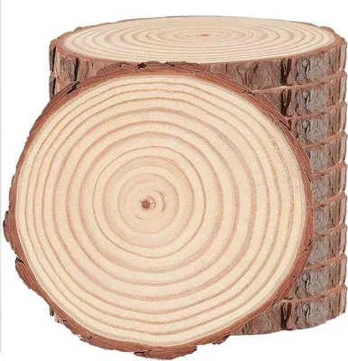 Produktbild von Naturholz-Rundholzblöcke 18-20 cm, ungestellte Holzblöcke mit Schorsten für Handwerkskunst, Weihnachtsdekoration und Hochzeitsdeko, DIY-Kreationen und rustige Dekoration