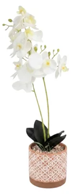 Produktbild von G.blümt Künstliche Orchidee groß, Phalaenopsis im Topf, Kunstpflanze Schmetterlingsorchidee wie echt Weiß