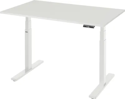 Produktbild von RAU Schreibtisch adlatus 100 1250x800x650-1300 M-Platte lgr