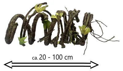 Produktbild von Künstlicher HASELNUSSZWEIG ca 100cm. Korkenzieherhaselnusszweig Ast