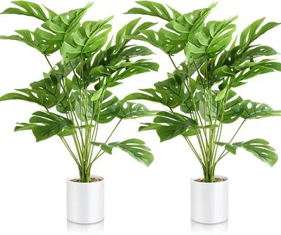 Immagine prodotto di Pianta artificiale Monstera da 73 cm con vaso, grande, adatta sia per interni che per esterni, ideale per l'ufficio e la casa.