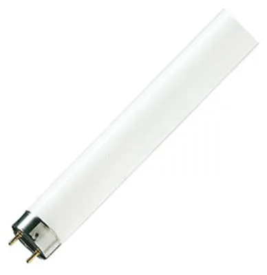 Produktbild von Philips MASTER TL-D Super 80, 58,5 W, G13, T8, 15000 h, 5240 lm, tralweiß