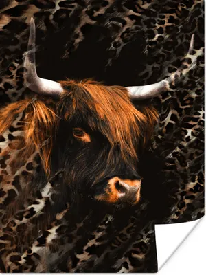 Produktbild von MuchoWow® Poster Schottischer Highlander - Pantherdruck - Kuh 90x120 cm - Wohnzimmer