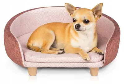 Produktbild von CARINIO RUFI Möbelhundebett für kleine Hunde 52x42cm
