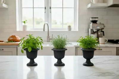 Obrázok produktu pre Sada 3 elegantných mini kvetináčov Nergiz na podstavci – antracitová farba – šírka 14 cm x výška 13 cm – udržateľné a odolné voči mrazu