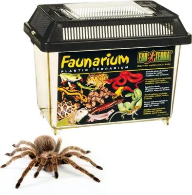 Image de Bac de transport Faunarium Exo Terra 18 x 11 x12,5 cm