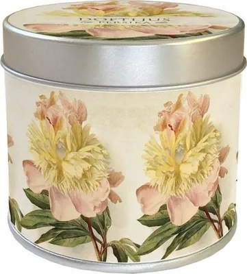 Immagine prodotto di Candela profumata 191 - peonia - pesca