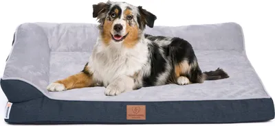 Produktbild von Orthopädisches Premium Hundebett mit Egg Foam, extra Halteschlaufe, Wasserdichter Innenbezug, Hundesofa, Hundekissen, flauschig, Bezug abnehmbar, waschbar, 89 x 63 x 17 cm, Hellgrau (XL)