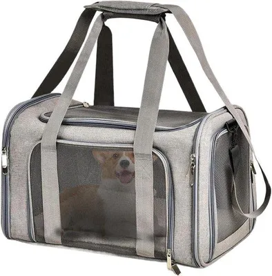 Productafbeelding van Huisdier Carrier - Draagzak Puppy - Reizen Met Huisdier - Ademend Mesh Materiaal - 39 x 25 x 5 cm