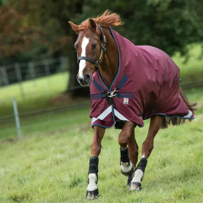 Produktbild von Horseware Rambo Wug Turnout Med 200g - Burgundy, 125