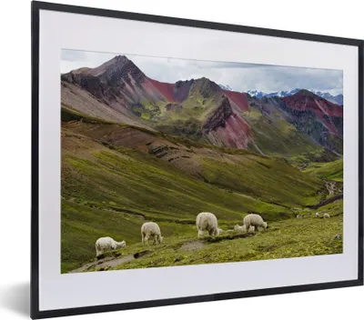 Produktbild von MuchoWow® MuchoWow® Gerahmtes Poster Alpaka - Hügel - Gras 40x30 cm - Poster mit zchwarzem Bilderrahmen - Bilderrahmen - Poster im Rahmen