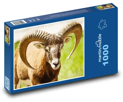 Obrázok produktu pre Puzzle 1000 Muflón na lúke - martinpuzzle