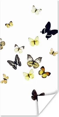 Produktbild von MuchoWow® Poster Schmetterlinge auf weißem Hintergrund 40x80 cm - Dekoration