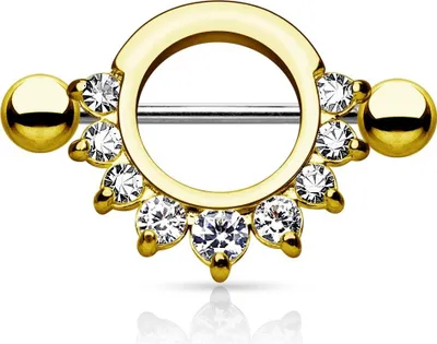 Produktbild von viva-adorno Brustwarzenpiercing Brustpiercing Nippel Piercing Schild 316L Chirurgenstahl Barbell Kristall Z502, gold