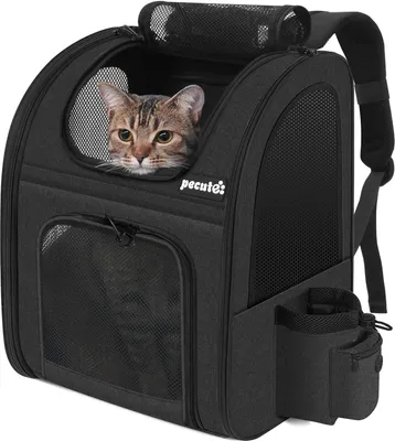Haustierrucksack für Hunde & Katzen, atmungsaktiv, 43x34x28 cm