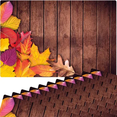 Produktbild von Abwaschbare Tischsets 12er Set Herbst-Laub Holz-Optik