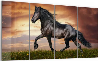 Produktbild von DEQORI Glasbild Echtglas 4x30x60 cm 'Schwarze Perle Frieslands' Wandbilder XXL groß