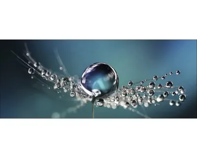 Produktbild von Glasbild Drop On Water GLA1907 80x30 cm