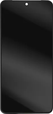 Obrázok produktu pre Relife, LCD displej a dotykové sklo pre Google Pixel 8 Pro bez puzdra, čierne
