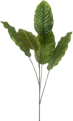Produktbild von artplants.de Künstlicher Zweig Dieffenbachia ZERVAN, grün, 110cm - Dekozweig