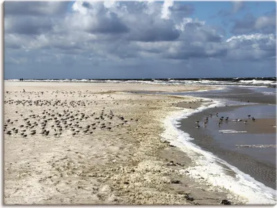 Produktbild von ARTland Leinwandbild Am schönen Nordseestrand Größe: 40x30 cm