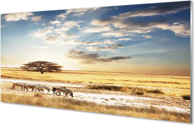 Produktbild von Glasbilder 120x60 Wandkunst Zebra Wolken Baum