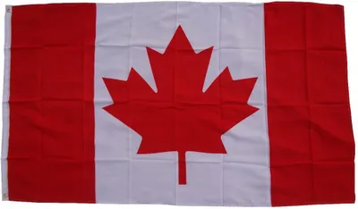 Immagine prodotto di Bandiera Canada 90 x 150 cm con 2 occhielli 100g/m² peso tessuto bandiera da issare per asta