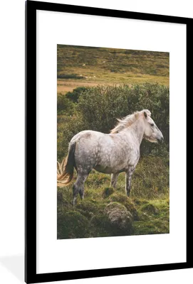 Produktbild von MuchoWow® MuchoWow® Gerahmtes Poster Pferd - Gras - Weiß 60x90 cm - Poster mit zchwarzem Bilderrahmen - Dekoration - Wandposter Wohnzimmer - Hochwertig