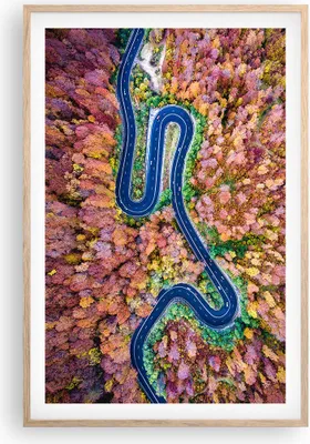 Produktbild von Gerahmtes Poster - Rahmen in heller Eiche - Kurvenreich Weg Wald - 61x91,5 cm - Wand Bild - Wanddeko - Wandbilder - Wandposter - Bilderrahmen - Bilder - Kunstdruck - Wandbild - P2NPA61x91-4291
