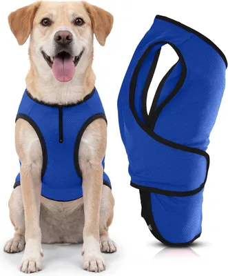 Produktbild von Koelvest Hund - Größe L