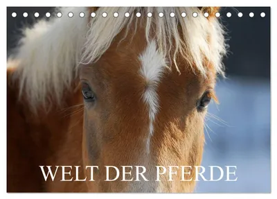 Produktbild von Welt der Pferde (Tischkalender 2027 DIN A5 quer), CALVENDO Monatskalender