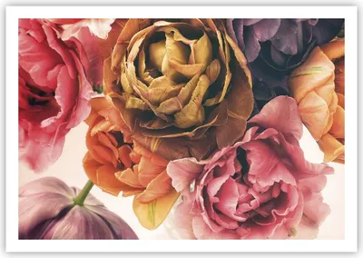 Produktbild von Poster - Poster ohne Rahmen - Blumenstrauß Blumen Braut - 100x70 cm - Wand Bild - Wanddeko - Wandbilder - Kunstposter - Wandposter - Bilder - Kunstdruck - Wanddekoration - Wandbild - P2XAA100x70-5025