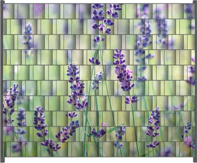 Produktbild von Wallario Zaunsichtschutz mit Motiv Lila Blumenfreude - Violette Pflanzen auf der Wiese für Ein- und Doppelstabmatten Zäune in der Größe 250 x 200 cm