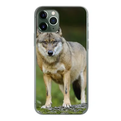 Produktbild von MuchoWow® Handyhülle Schutzhülle Hülle für iPhone 11 Pro Wolf - Asien - Pflanzen Silikon Softcase Handy Hülle - Handy